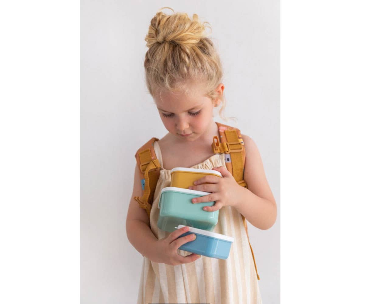 3 Boîtes Déjeuner Animal Friends