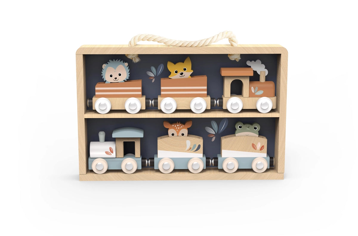 Coffret trains